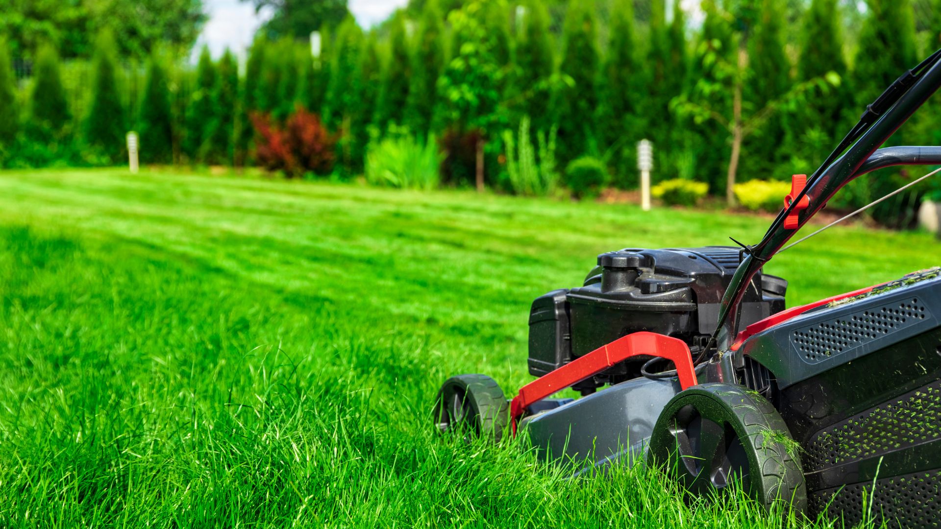 Lawn mower cutting vibrant green grass with trees in background