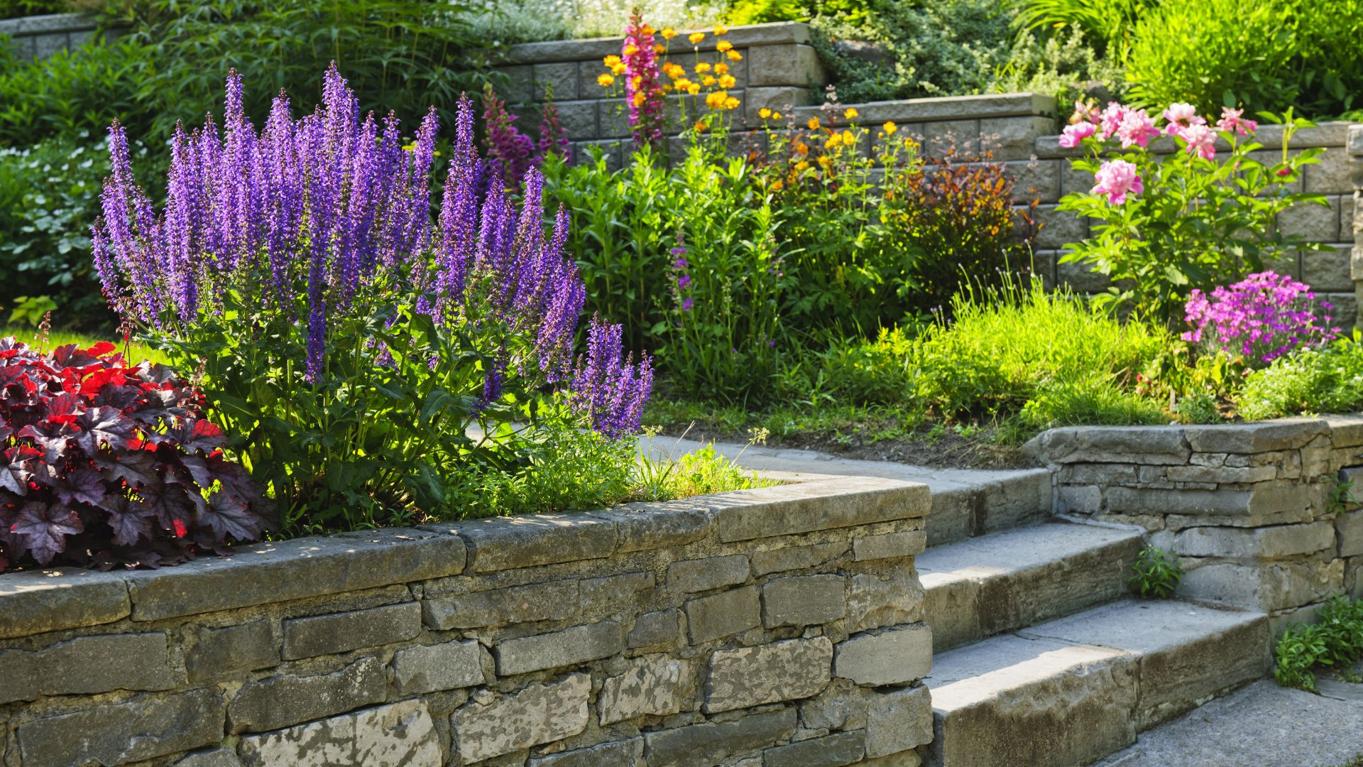 Colorful garden with purple lavender, stone steps, and varied flowering plants