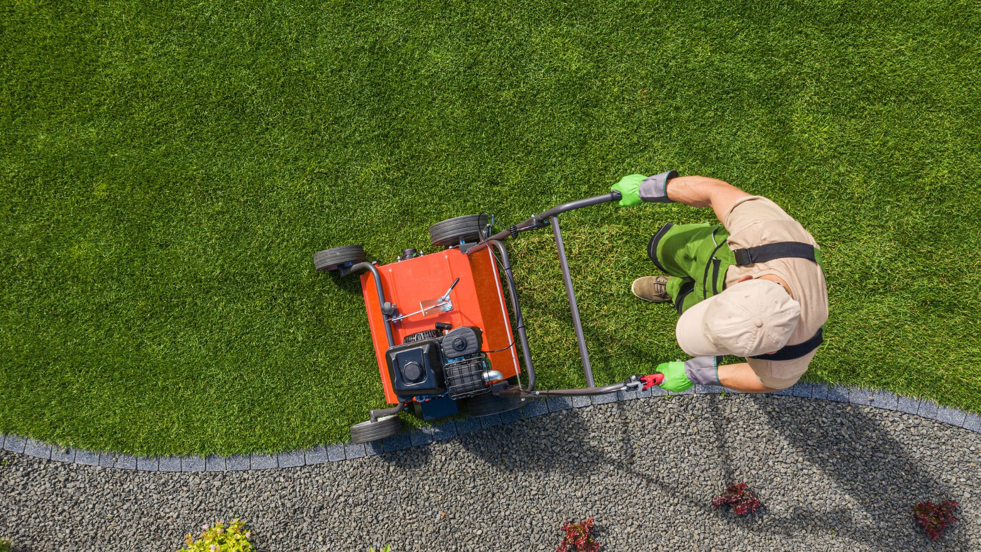 Gardener using lawn edger machine on green grass and stone border