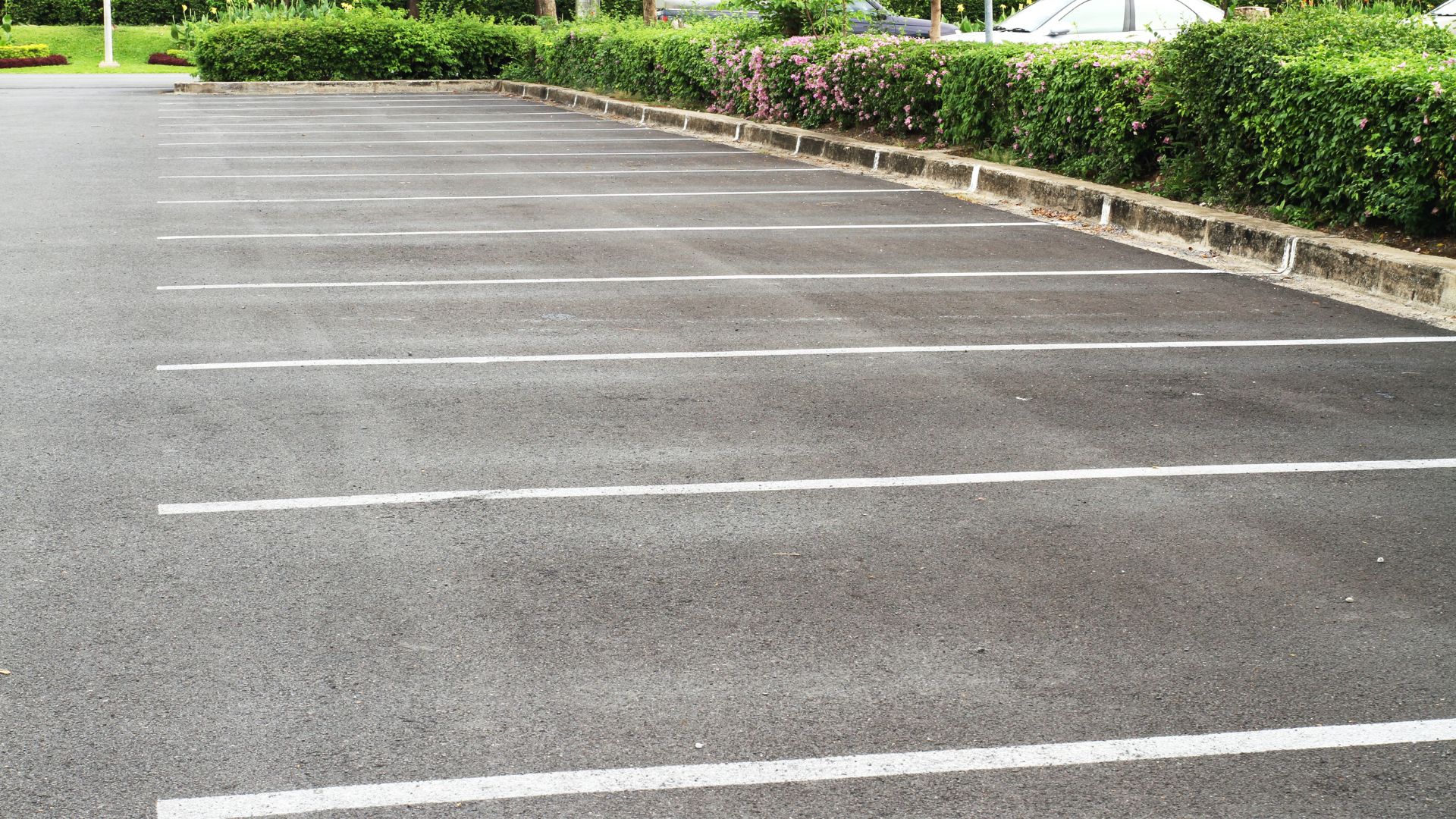 Empty parking lot with white lines, bordered by green bushes and flowers