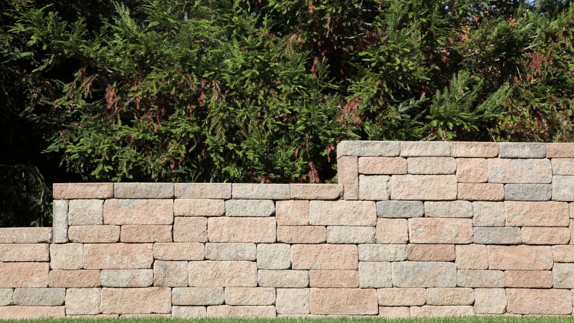 Stone retaining wall with evergreen trees and shrubs in background